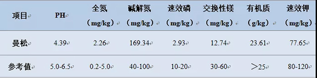 【下关沱茶】悠悠岁月，漫漫茶香——倚邦茶山